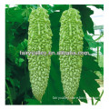 2014 Chinese Hybrid F1 Fast Growing Bitter Gourd Seeds/Bitter Melon Seeds For Growing-New Jade